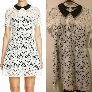 👗Aqua Collared Lace Overlay Dress While Size S